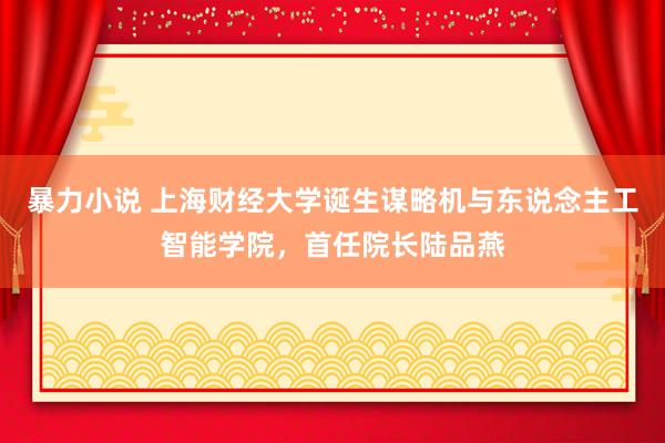 暴力小说 上海财经大学诞生谋略机与东说念主工智能学院，首任院长陆品燕