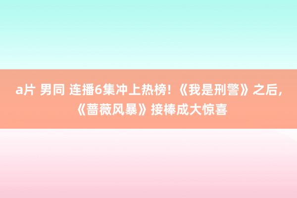 a片 男同 连播6集冲上热榜! 《我是刑警》之后， 《蔷薇风暴》接棒成大惊喜