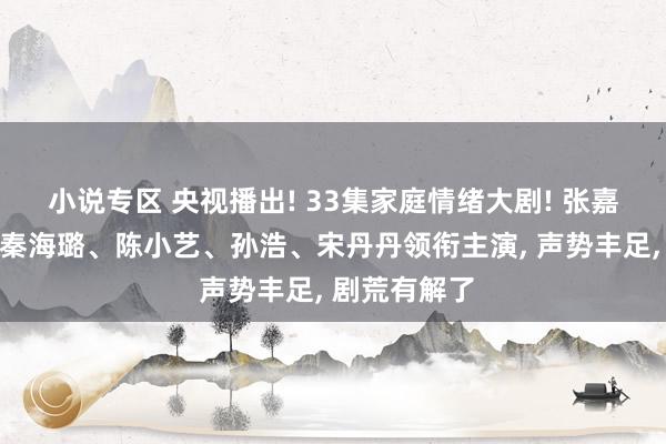 小说专区 央视播出! 33集家庭情绪大剧! 张嘉益、闫妮、秦海璐、陈小艺、孙浩、宋丹丹领衔主演， 声势丰足， 剧荒有解了