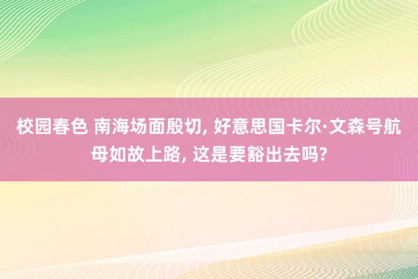 校园春色 南海场面殷切， 好意思国卡尔·文森号航母如故上路， 这是要豁出去吗?