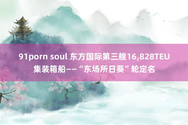 91porn soul 东方国际第三艘16，828TEU集装箱船——“东场所日葵”轮定名