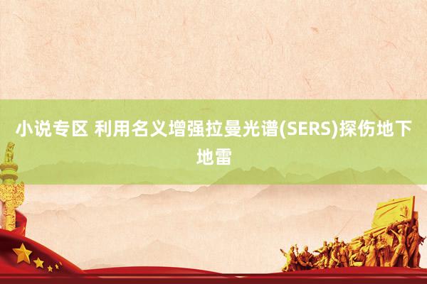 小说专区 利用名义增强拉曼光谱(SERS)探伤地下地雷