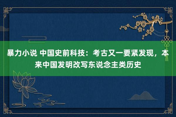 暴力小说 中国史前科技：考古又一要紧发现，本来中国发明改写东说念主类历史