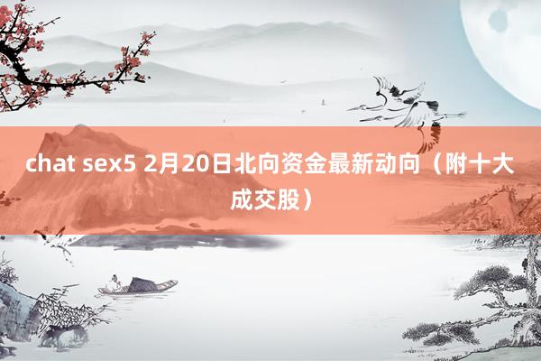 chat sex5 2月20日北向资金最新动向（附十大成交股）