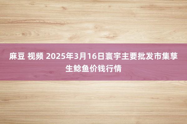 麻豆 视频 2025年3月16日寰宇主要批发市集孳生鲶鱼价钱行情